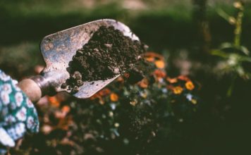 Zašto je rad sa zemljom jedan od najjačih antistres rituala koje smo zaboravili