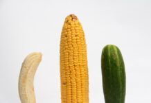 Zaboravite pilule: Kako telo prirodno stvara jaku erekciju