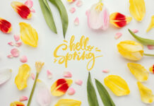 Flower photo created by freepik - www.freepik.com