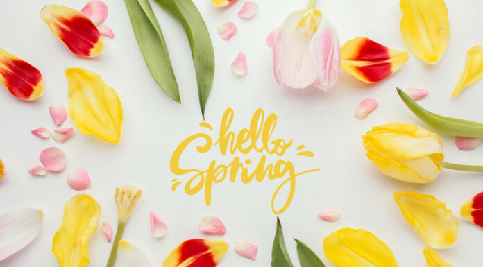 Nedeljni horoskop 23–30. mart 2026: Saturn, Pluton, Venera i Uran donose testove, moć i iznenadne preokrete Flower photo created by freepik - www.freepik.com