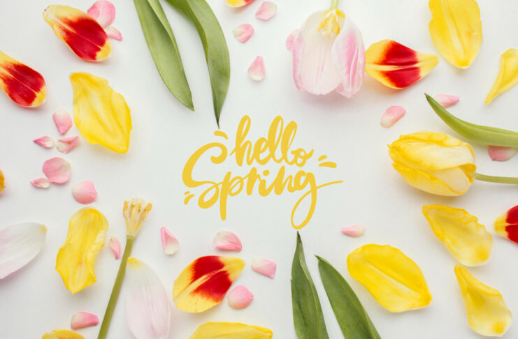 Flower photo created by freepik - www.freepik.com