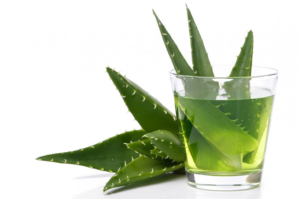 Aloe photo created by Racool_studio - www.freepik.com