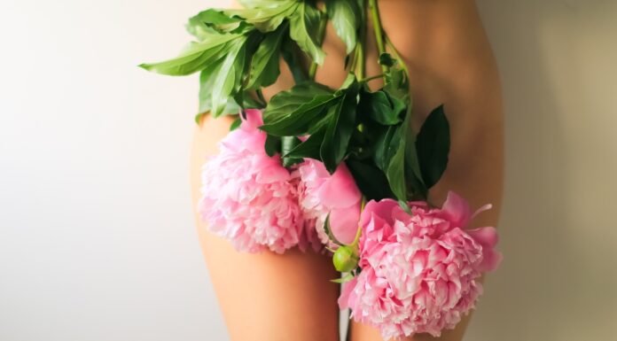 Hirurška menopauza: Šta se zaista dešava kada se uklone jajnici i zašto to nije isto što i histerektomija?