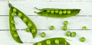 Zeleni eliksir snage: Kako grašak jača kosti i štiti od osteoporoze