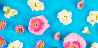 Nedeljni horoskop 30. mart – 6. april 2026: Venera u Biku otkriva šta ljubav stvarno znači Image by Freepik