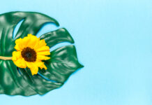 Image by Freepik