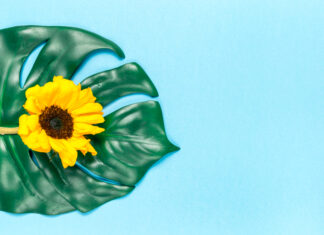 Image by Freepik