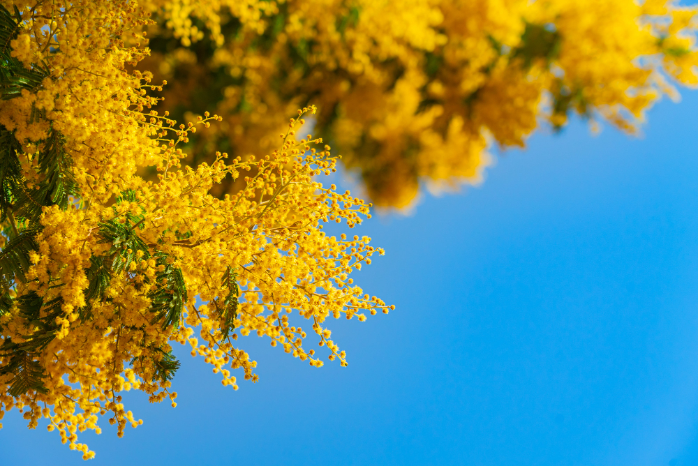 Image by GarryKillian on Freepik