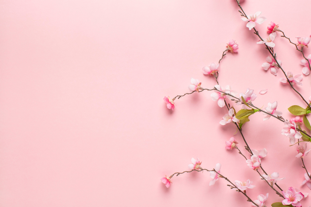 Image by kbza on Freepik