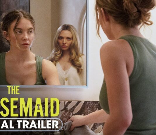 Savršena porodica, smrtonosne tajne: „Kućna pomoćnica“ triler o kome će se pričati