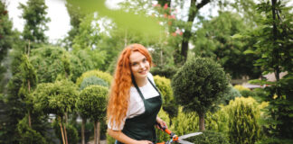 Zima još traje, ali vrt već zove: Evo šta sada treba da uradite da bi proleće eksplodiralo od boja