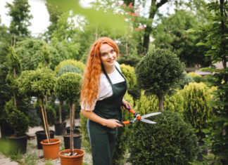 Zima još traje, ali vrt već zove: Evo šta sada treba da uradite da bi proleće eksplodiralo od boja