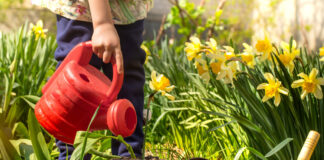 Vaši napadaju već u martu: Evo kako da ih zaustavite PRE nego što unište vašu baštu