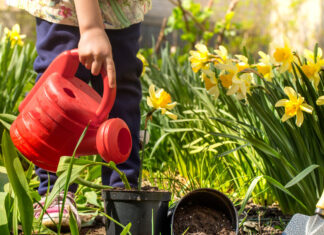 Vaši napadaju već u martu: Evo kako da ih zaustavite PRE nego što unište vašu baštu