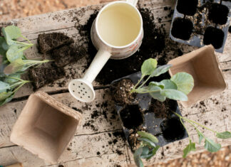 Đubriva bez greške: Šta, kada i koliko dodati da biljke eksplodiraju u rastu